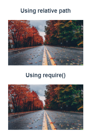 reference static images in vue